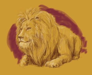 lion2-72